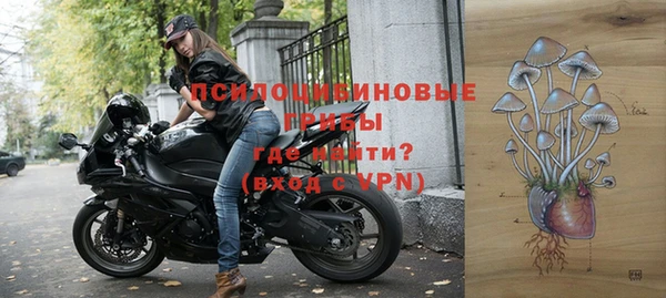 дживик Алексеевка