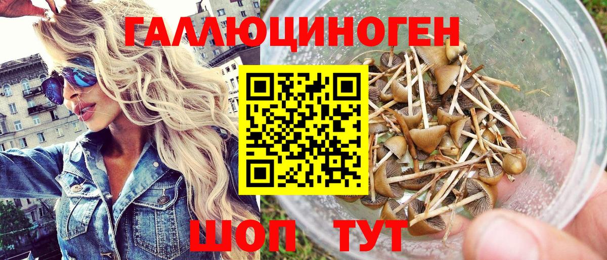 Псилоцибиновые грибы мухоморы Десногорск