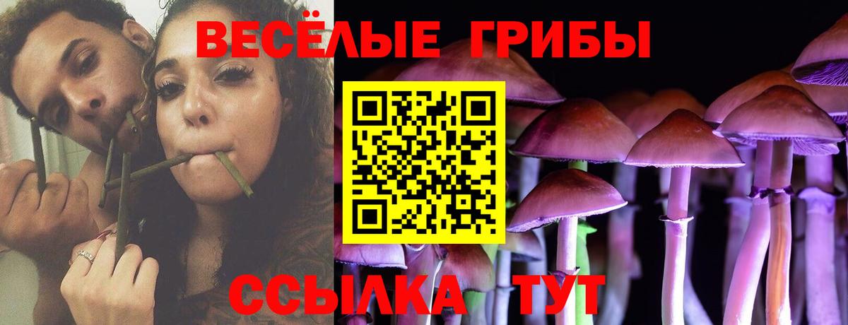 Десногорск  Галлюциногенные грибы ЛСД  Вход с VPN 